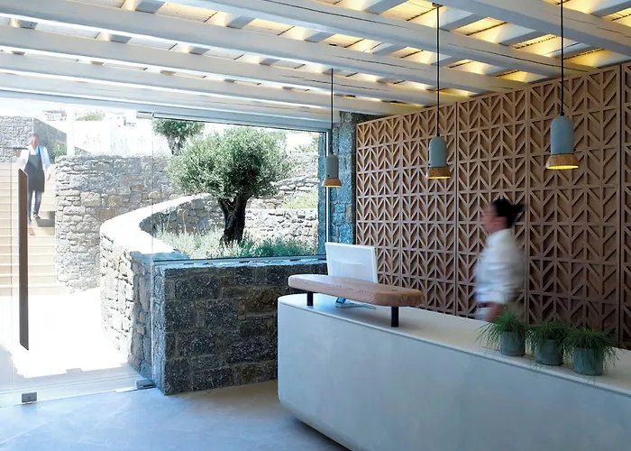 Bill&coo Mykonos-the Leading Of The World (adults Only) 酒店 5*